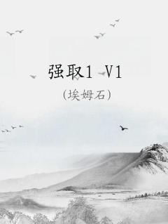 ǿȡ1 V1