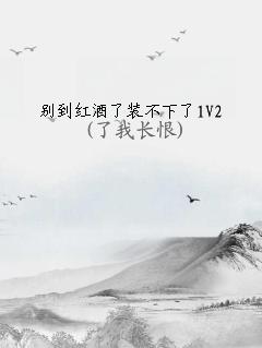 𵽺װ1V2