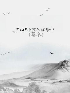ɽNPCס