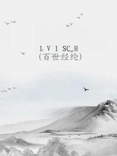 1 V 1 SC H