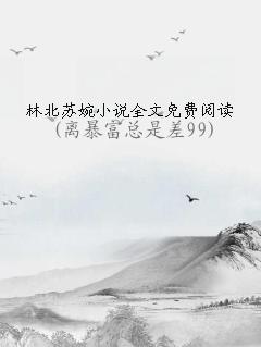 ֱС˵ȫĶ
